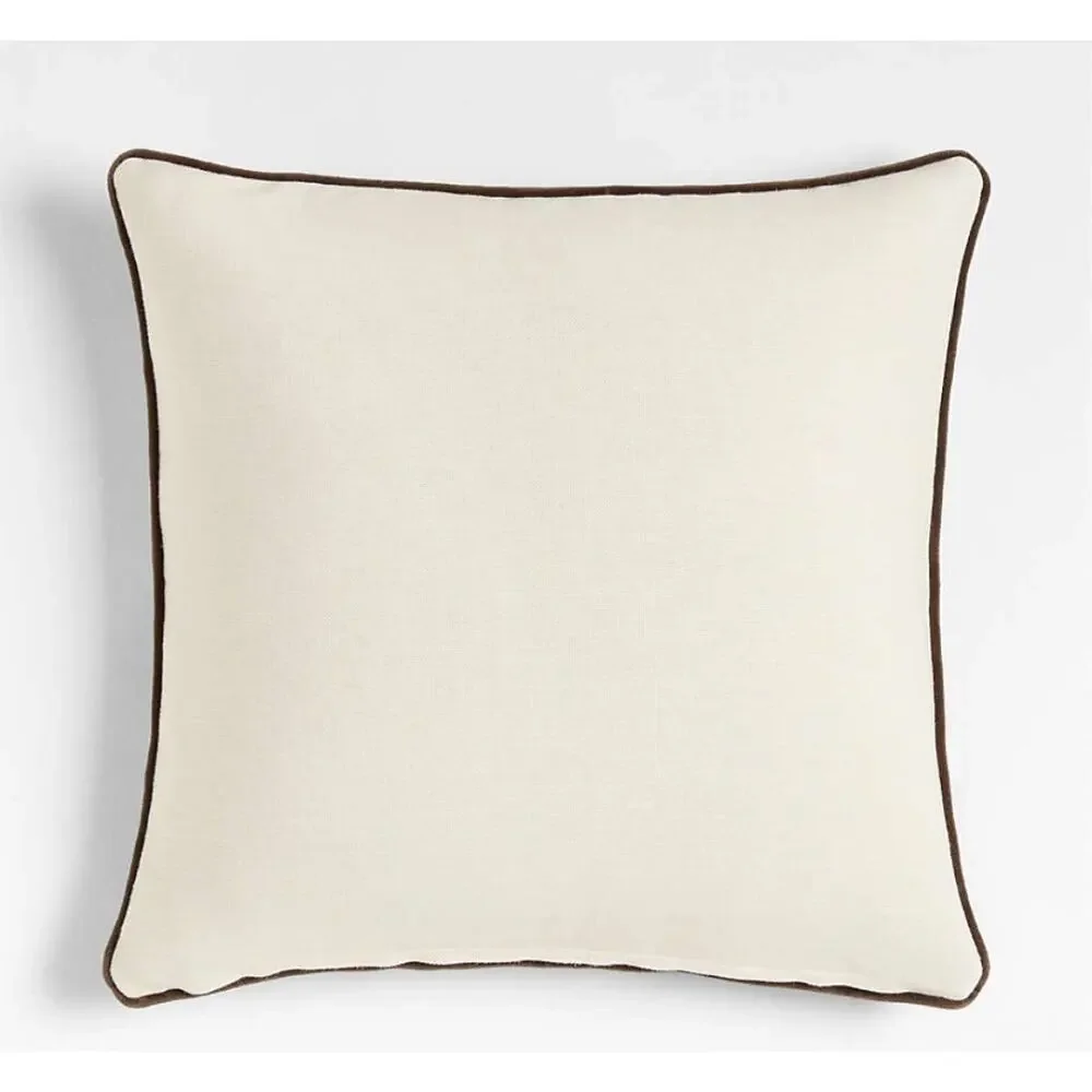 CRATE & BARREL MOJAVE 23X23 DECORATIVE PILLOWS SET OF TWO